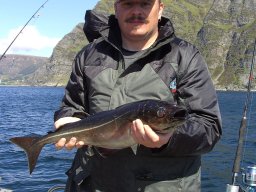 Norwegen 2008 Rundereim